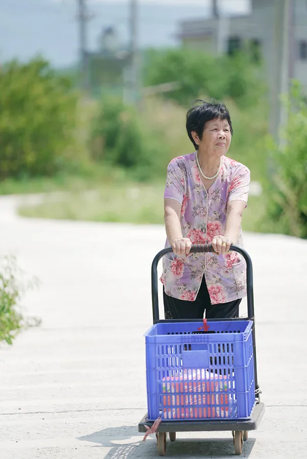 1639471042141577.jpg 6.jpg