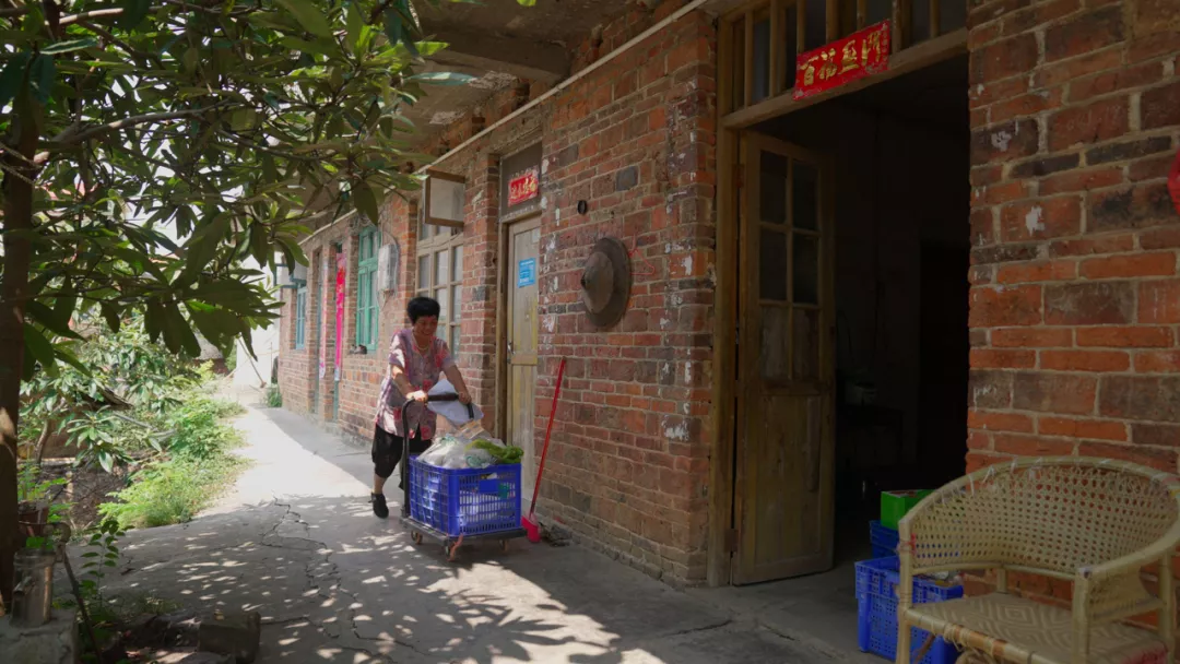 1639471025419171.jpg 5.jpg